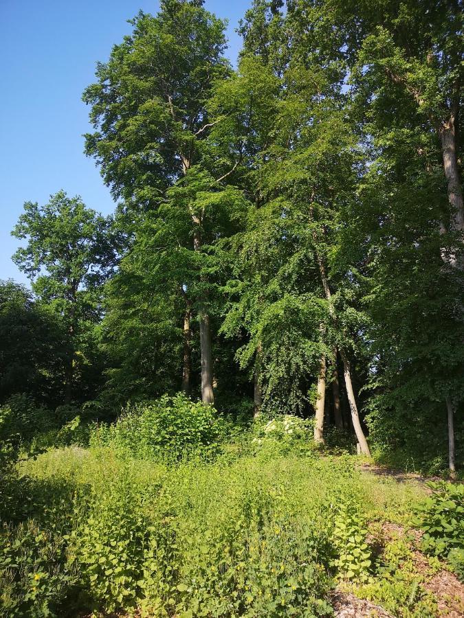 Gaestehaus Maria Rast Suderburg Zewnętrze zdjęcie