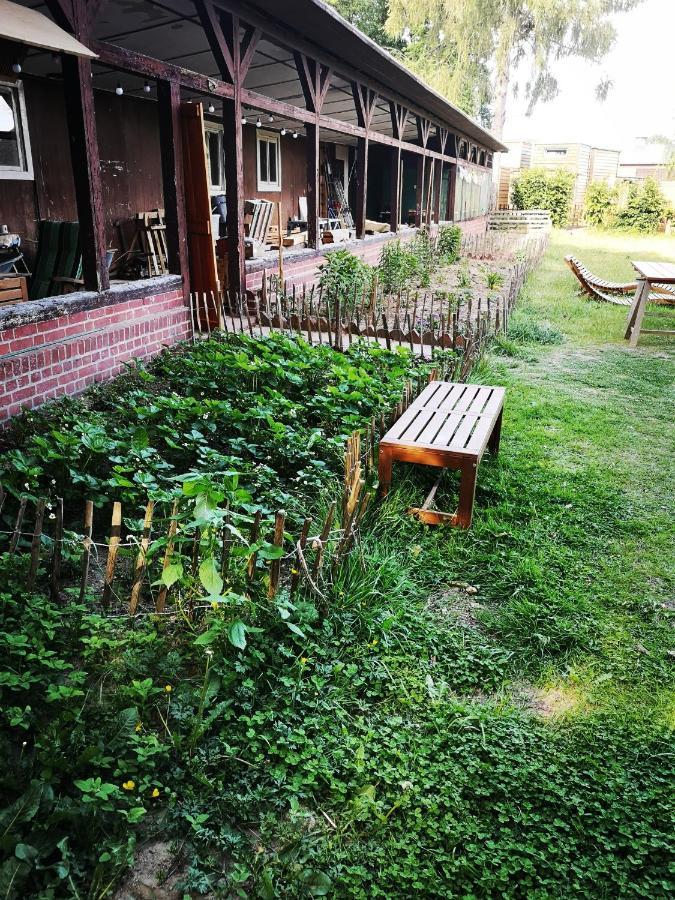Gaestehaus Maria Rast Suderburg Zewnętrze zdjęcie